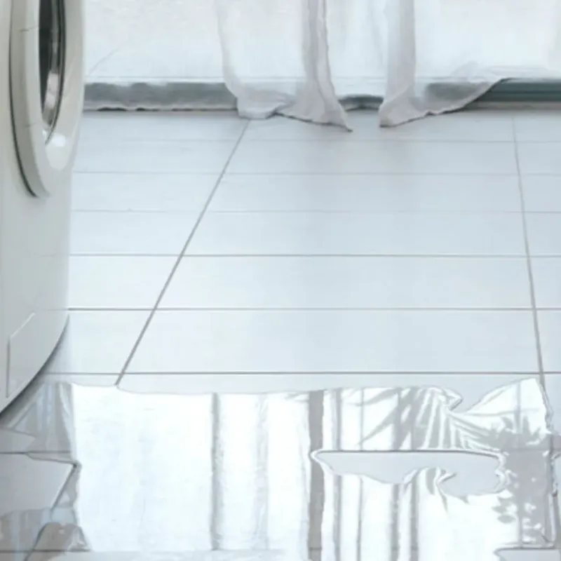Appliance Leak Cleanup in Schuyler County, IL
