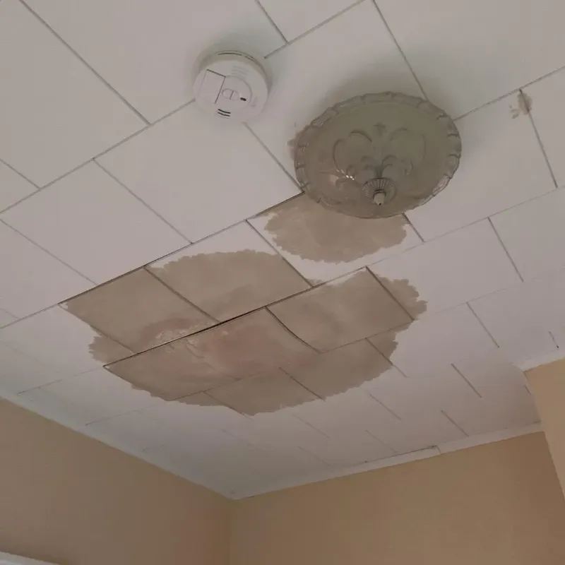 Ceiling Water Damage Repair in Schuyler County, IL