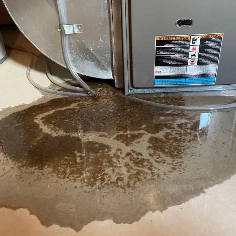 Pipe Burst and Leak Restoration in Schuyler County, IL