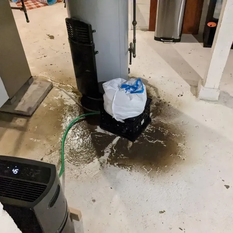Sewage Backup Cleanup Service in Schuyler County, IL